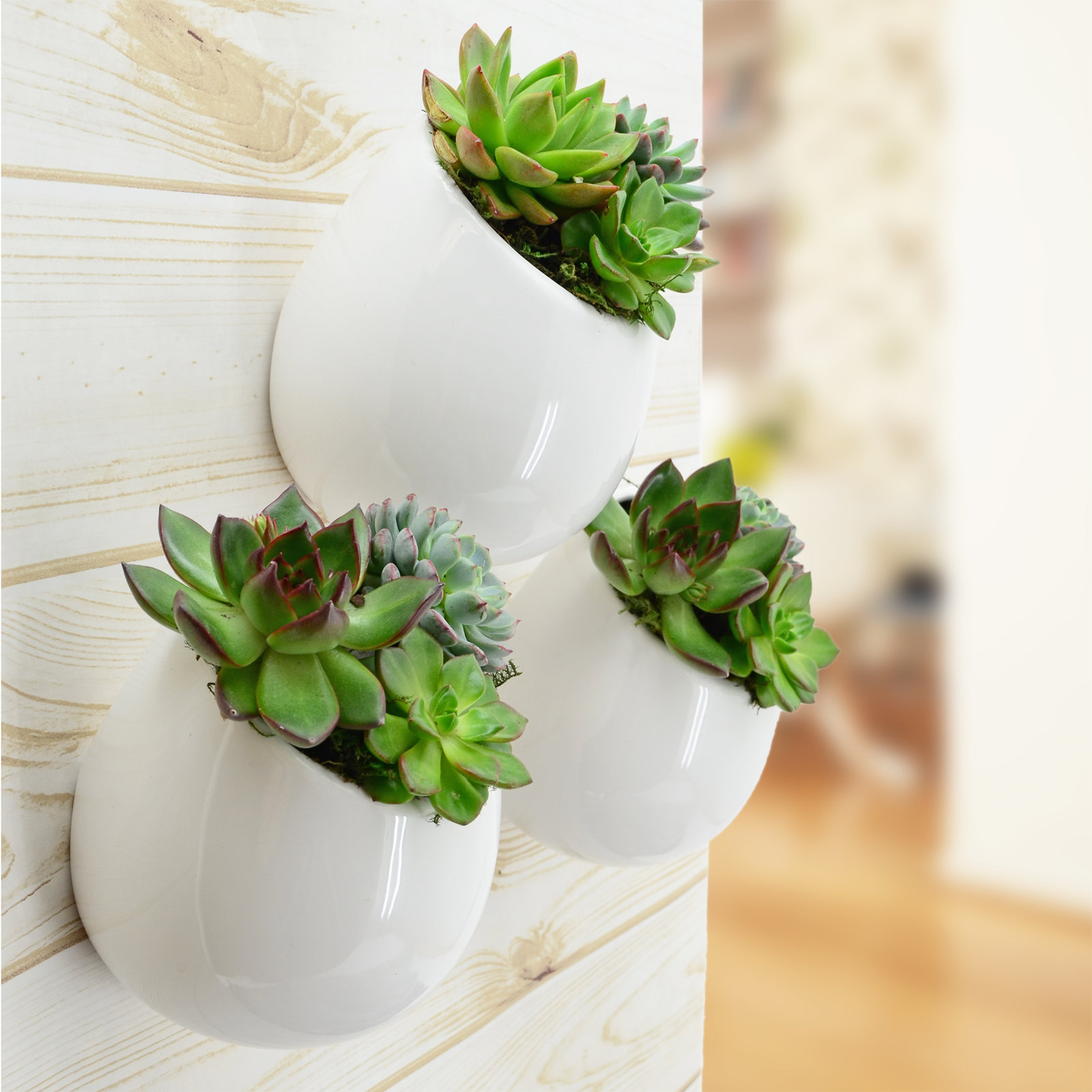 Hilaria 6" Ceramic Wall Planter, 6.5'' H x 5.5'' W x 5" D, Glossy White