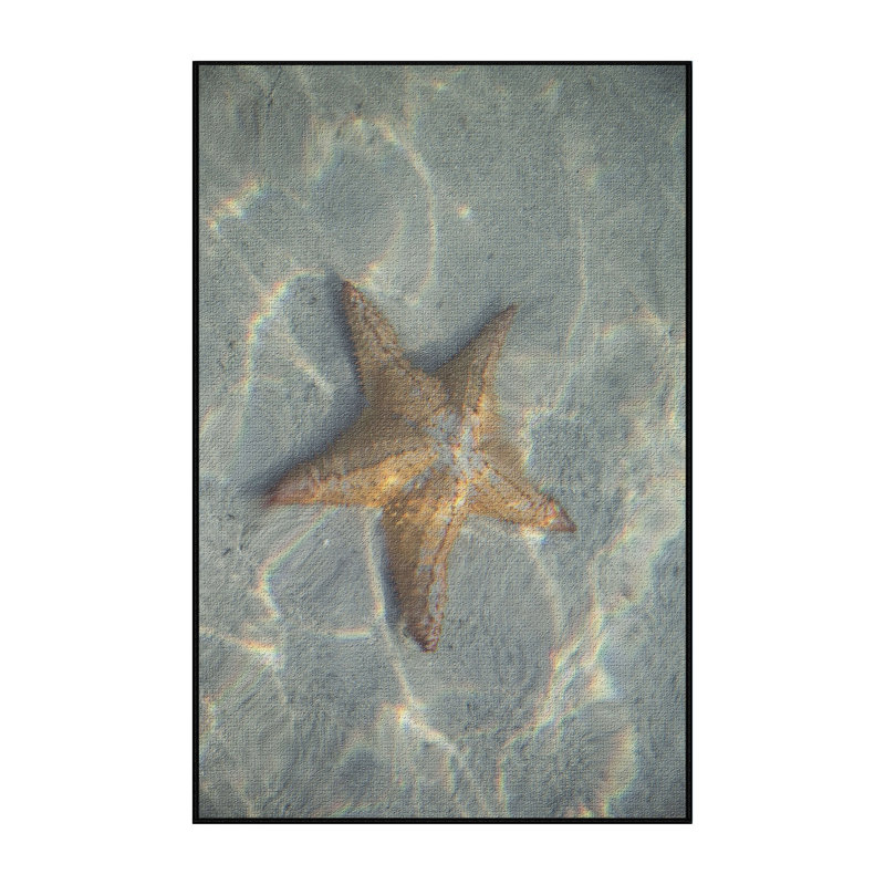 Tapis de surface bleu star, Rectangle 2 pi x 3 pi