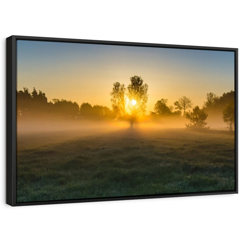 Nature «Misty Meadow At Sunrise», H 43 po x l 29 po