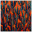 Cactus Vibrant-124827022
