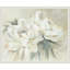 «Patricia Pinto Soft Bouquet» par Patricia Pinto-93433889