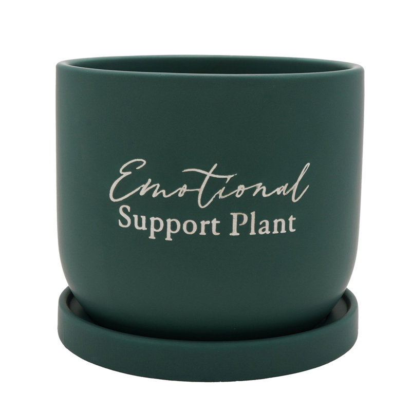 Ceramic Pot Planter
