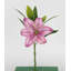 4 pièces fleur de lis artificielle-1564486390
