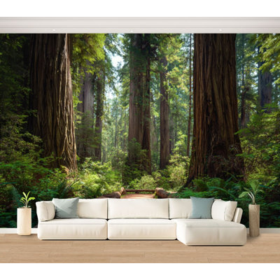 Wall Mural Peel and Stick Wallpaper Redwood forest Landscape Scenery Natural Tree Self-Adhesive Removable Contact Paper Wall Decor for Living Room Bedroom 100"H x 144"W