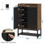 20 Pair Shoe Storage Cabinet