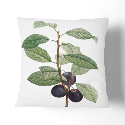 Square Throw Cushion