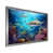 Silver Single Picture Framed