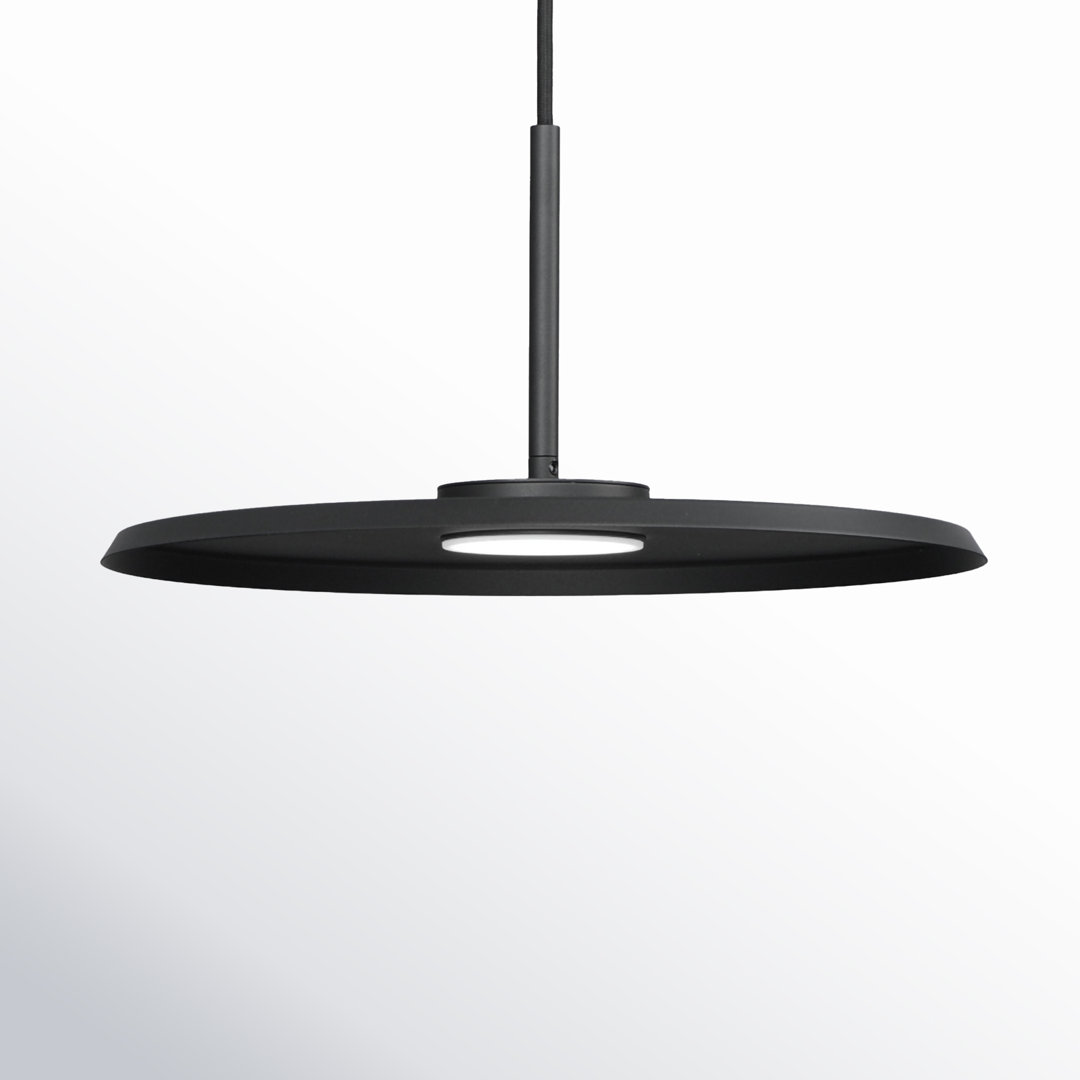Ceri 1 - Light Geometric LED Pendant AllModern 