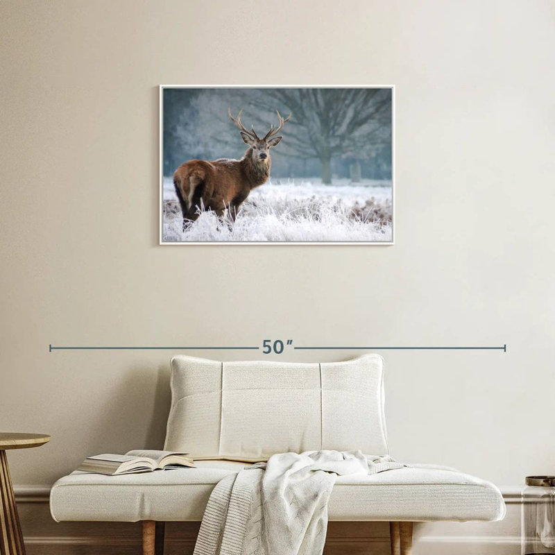 Cerf Stare, Cadre flottant blanc, 31 po x 21 po