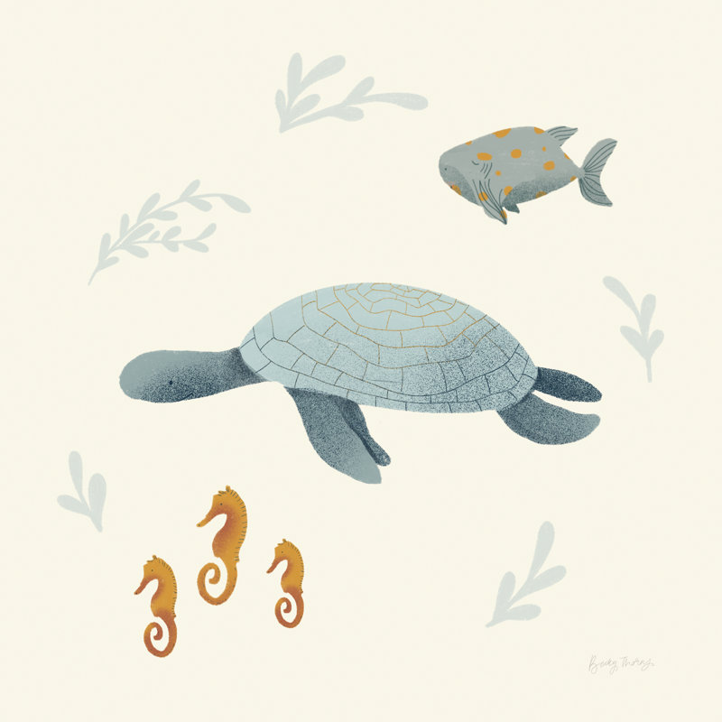 Ocean Life Sea Turtle by Becky Thorns - Wrapped Canvas Graphic Art Print, 51cm H x 51cm W