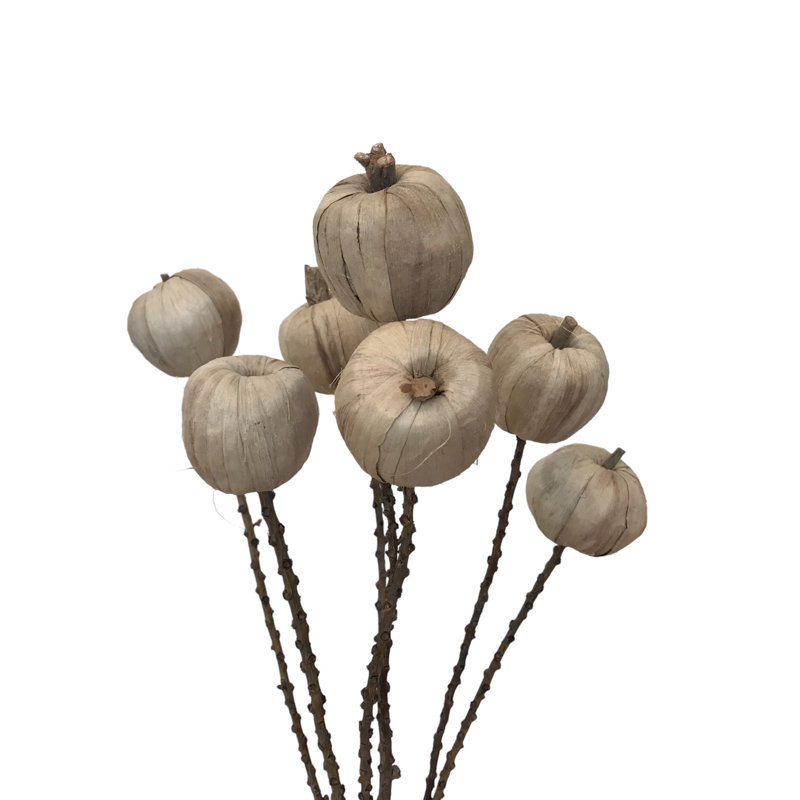 Azuela Arrangement