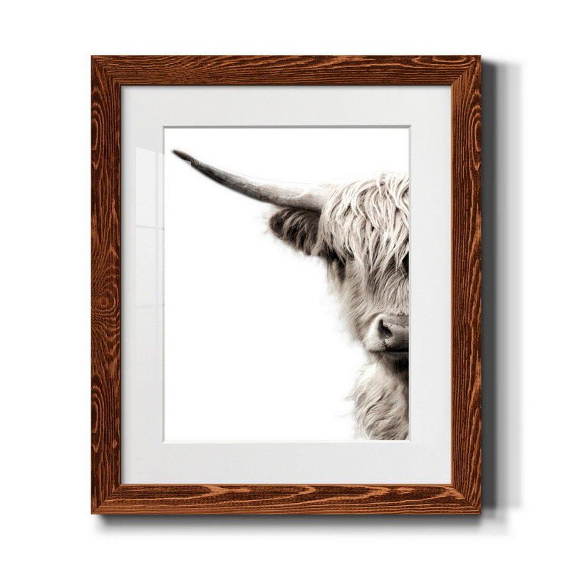 Bétail des Highlands - reproduction de photo, H 20 po x l 17 po x P 1 po, Papier avec cadre érable, Blanc