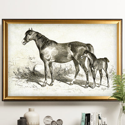 " Equine Sketch VIII "