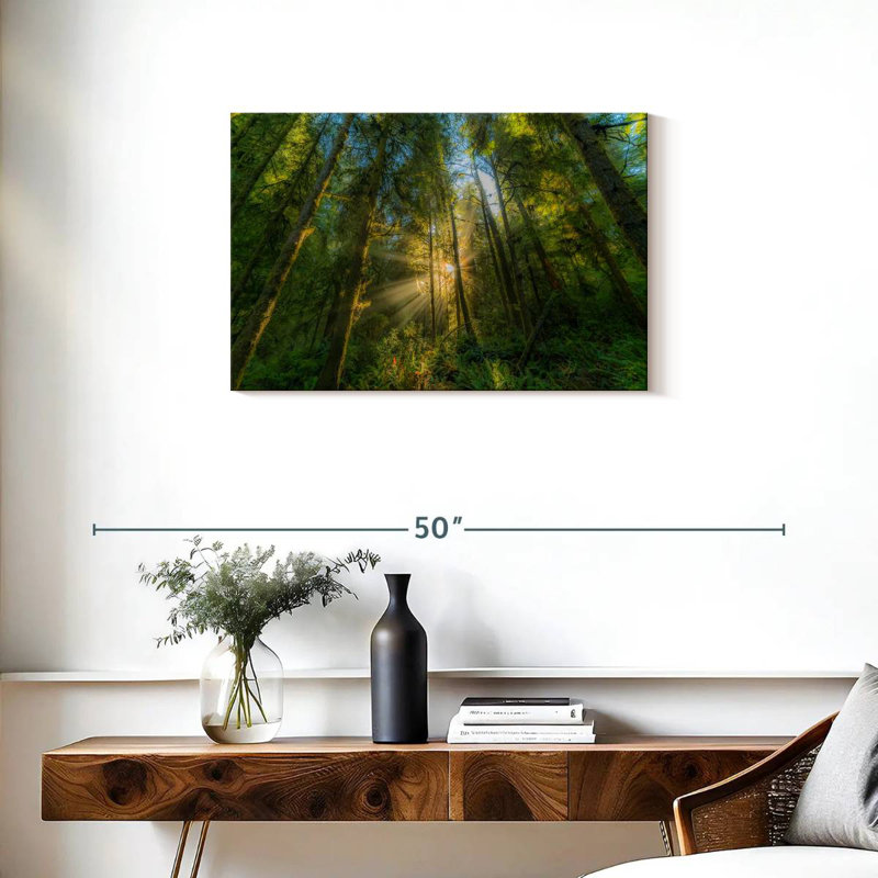 Kerrick Jedediah Smith, forêt de séquoia, H 20 po x l 30 po