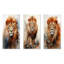 Ensemble de salon Intense Lions Gaze Realism - Lion-236779405-236779407