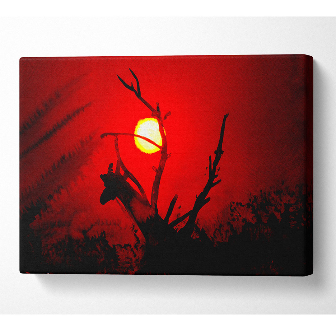 Giraffe bei Sonnenuntergang - Druck