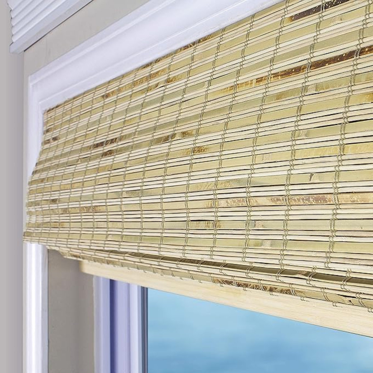 Arlo Blinds Petite Rustique Sheer Bamboo Roman Shades & Reviews | Wayfair