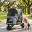 Poussette pliable pour animal de compagnie, poussette 3 roues, fenêtre en filet, coussin lavable, pour chiens de taille moyenne-132273933