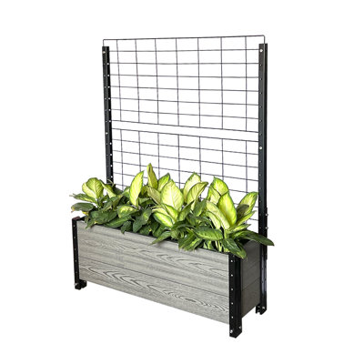 Vertical Garden with Trellis