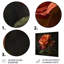 Gros plan d'une rose rouge et orange - impression d'art mural rose-104687275-104687282