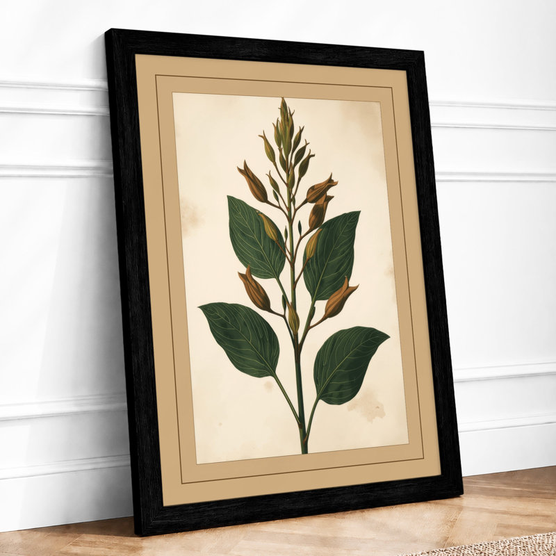 Specimen Botanical - Print, Black, A4 - 29.7 x 21.0 cm
