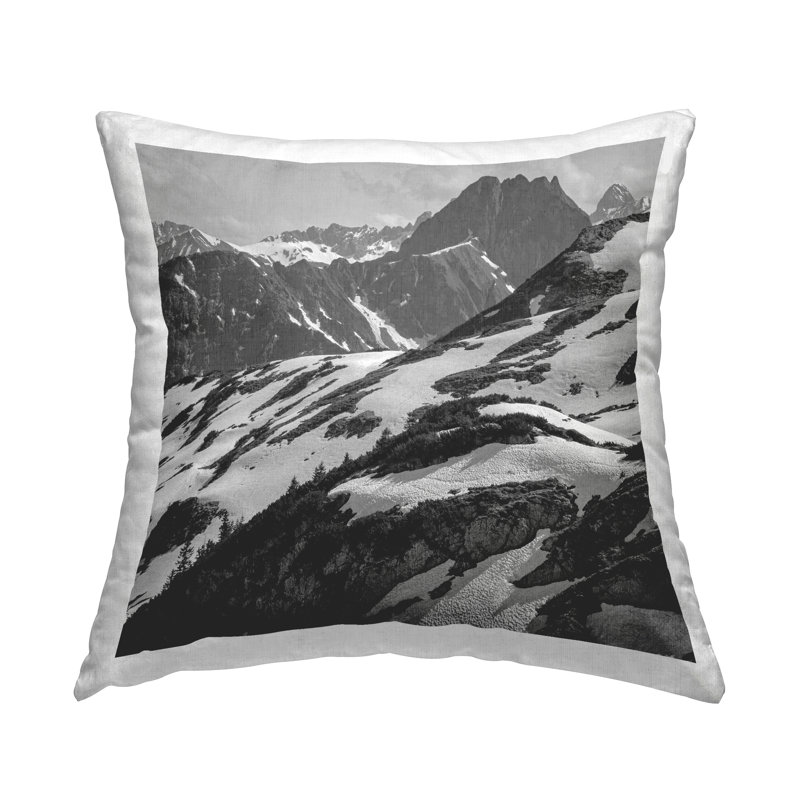 Coussin décoratif
