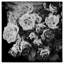Fading Roses - Picture Frame Photograph on Paper -74856165-87888759