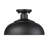 Yep by Golden Lighting Levitt 1-light Outdoor Ceiling in Natural Black and Natural Black shade-92389154
