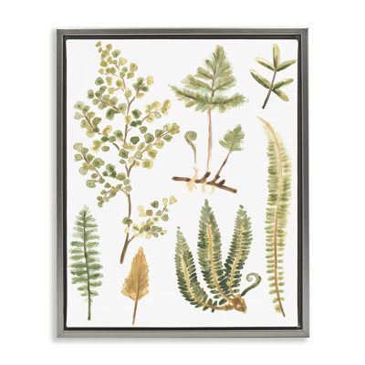 Wild Forest Ferns Framed Floater Canvas Wall Art by June Erica Vess