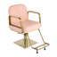 Fauteuil de coiffeur Beauty-107185490