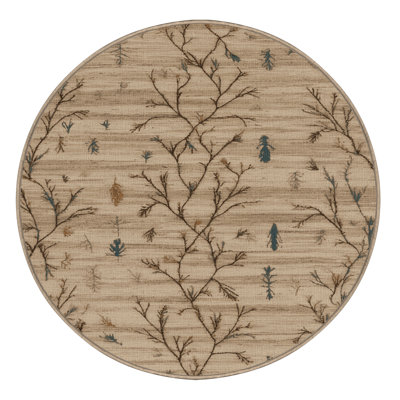 Machine Washable Nature Brown Area Rug