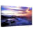 Gillard Vieques Rocky Beach