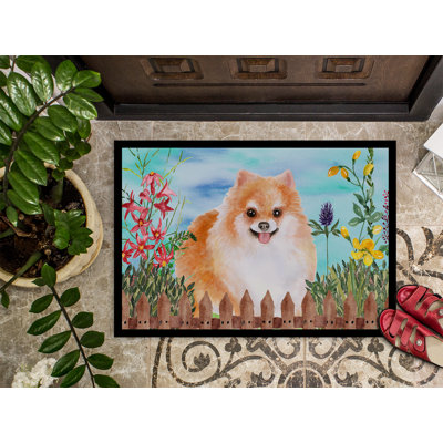 Poméranie spring 27 po x 18 po tapis de porte extérieur antidérapant