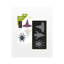 Accuquilt GO! Automne