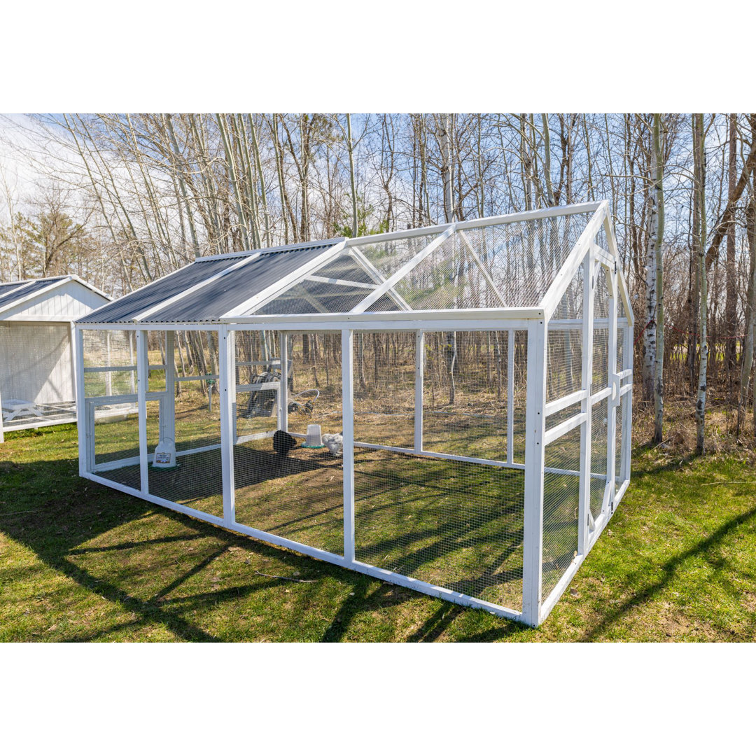99.67 Square Feet Chicken Coop For Up To 24 Chickens Zylina