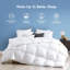 Édredon en duvet d'oie toutes saisons 750 pi, insert de couette Hotel Collection-210903468