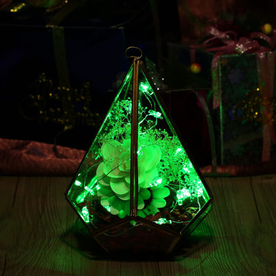LED String Lights