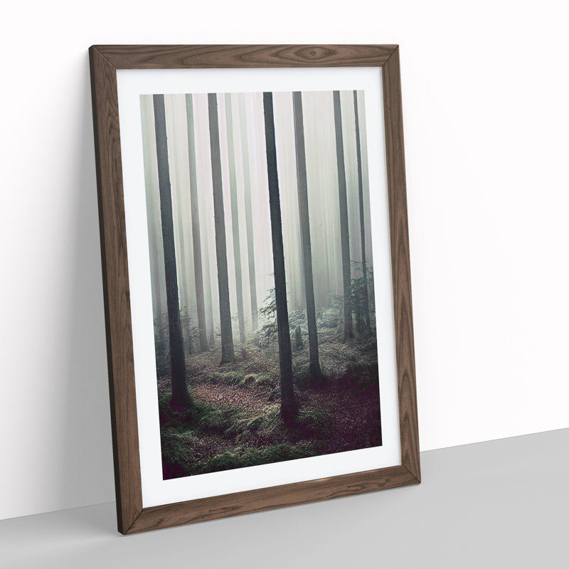 A Quiet Forest - Wall Art, 36cm H x 27cm W x 2cm D, Walnut Framed, White