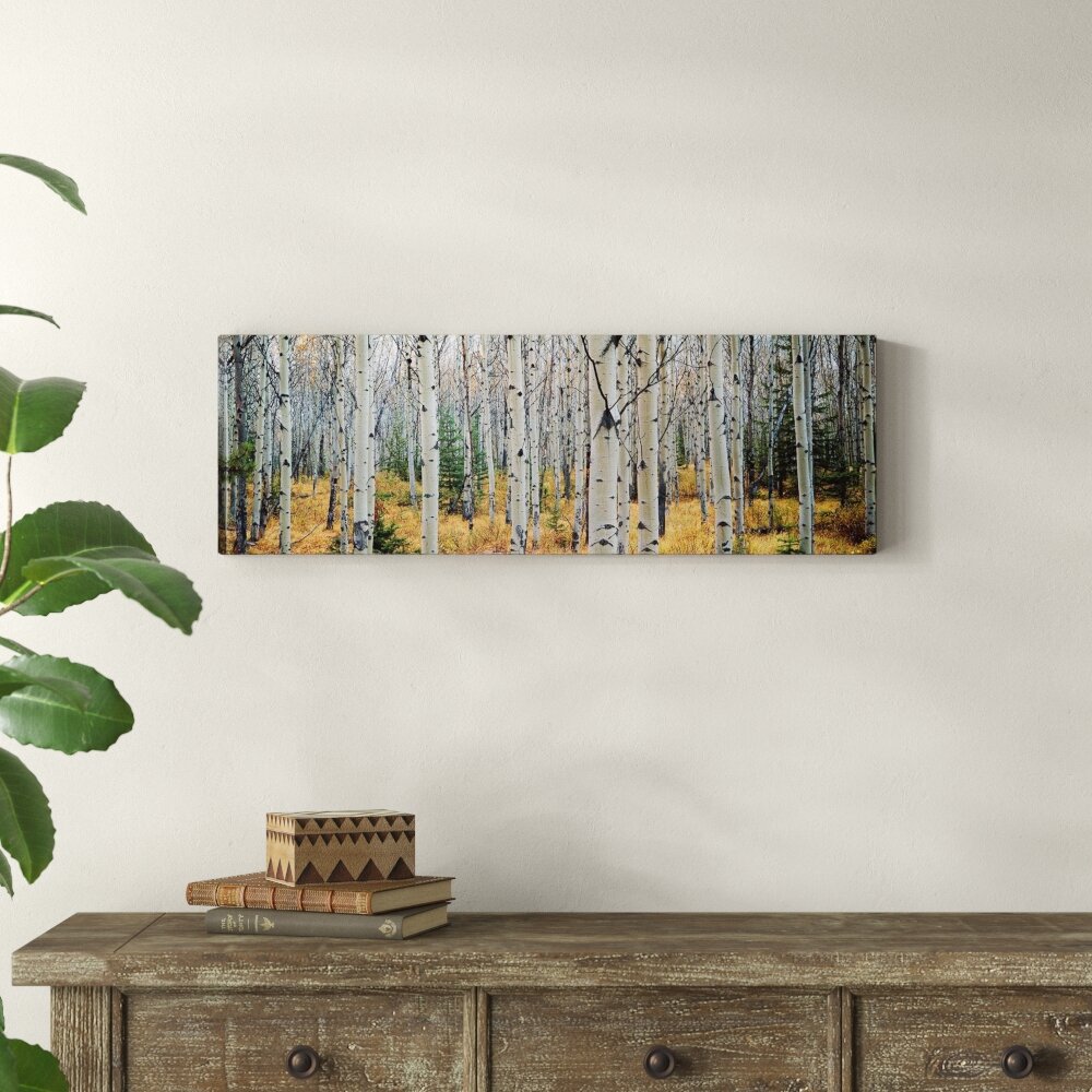 Loon Peak® Aspen Trees In A Forest Alberta, Canada by Panoramic Images  Panoramic Gallery-Wrapped Canvas Giclée on Canvas  Reviews Wayfair Canada