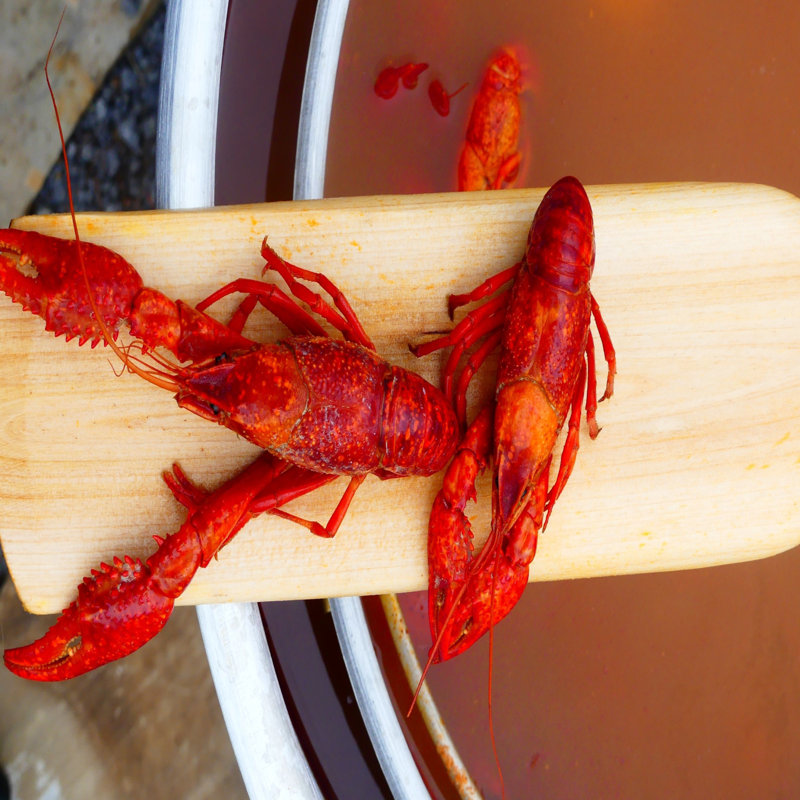 Bayou Classic Bayou Spatula / Turner