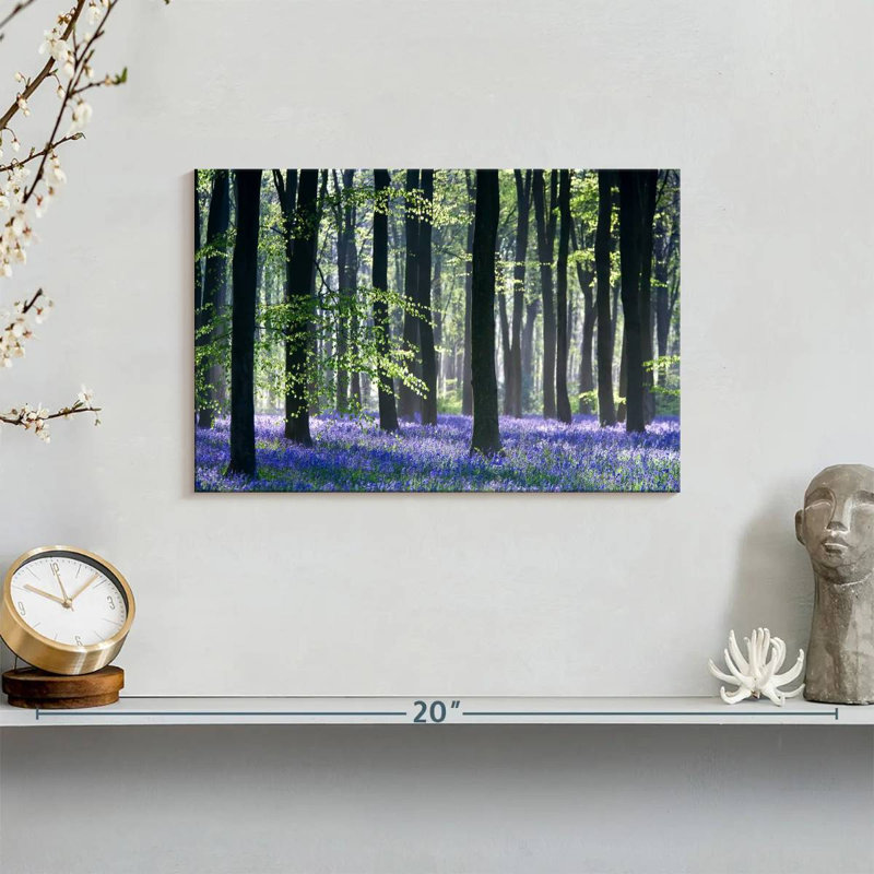 Bluebell Vision, 8" H x 12" W