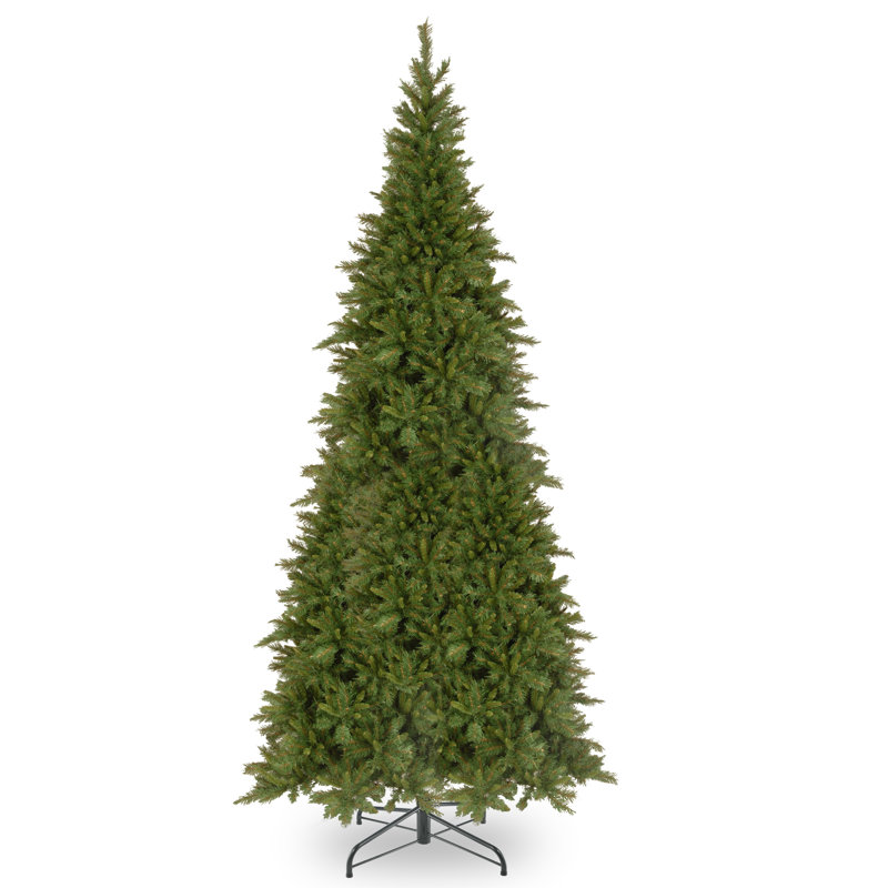 Tiffany Fir Slim Tree, 10'