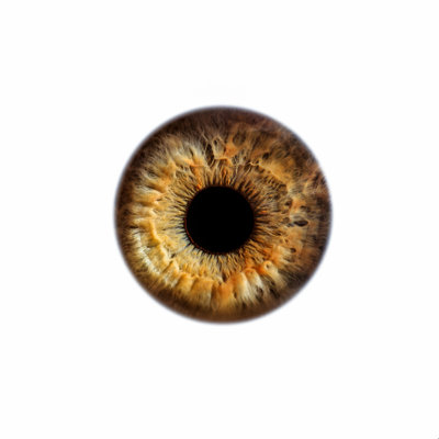 " Eye Love To See You Green " by Elena Kulikova