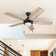 Ventnor 52" Ceiling Fan with LED Lights