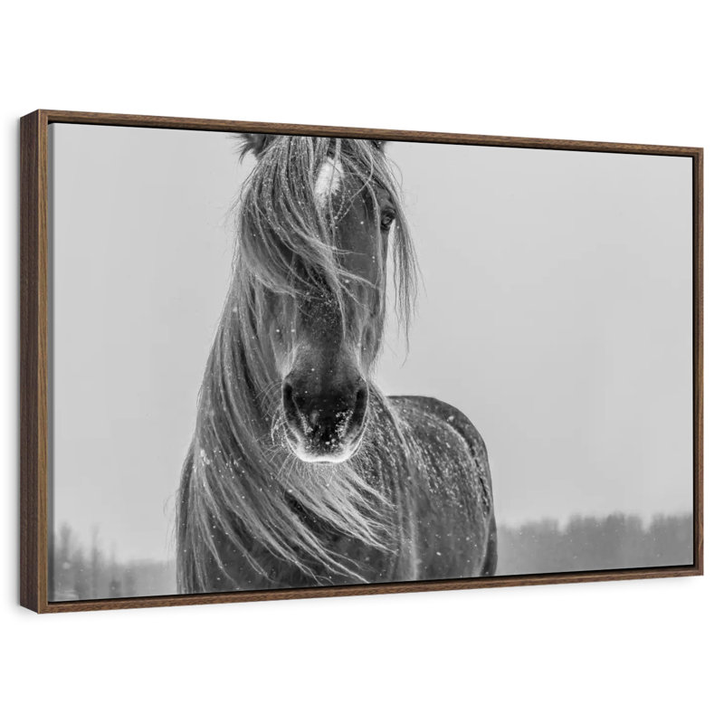Cheval d'hiver, Cadre flottant noyer, 31 po x 21 po