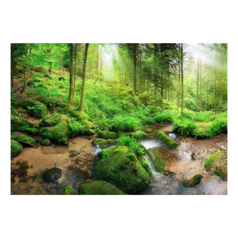 Ezrie Peel & Stick Wall Mural, 55" L x 77" W