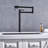 Dilon Kitchen Faucet-60515043