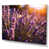 Wrapped Canvas