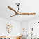 Karly 60" Ceiling Fan with LED Lights