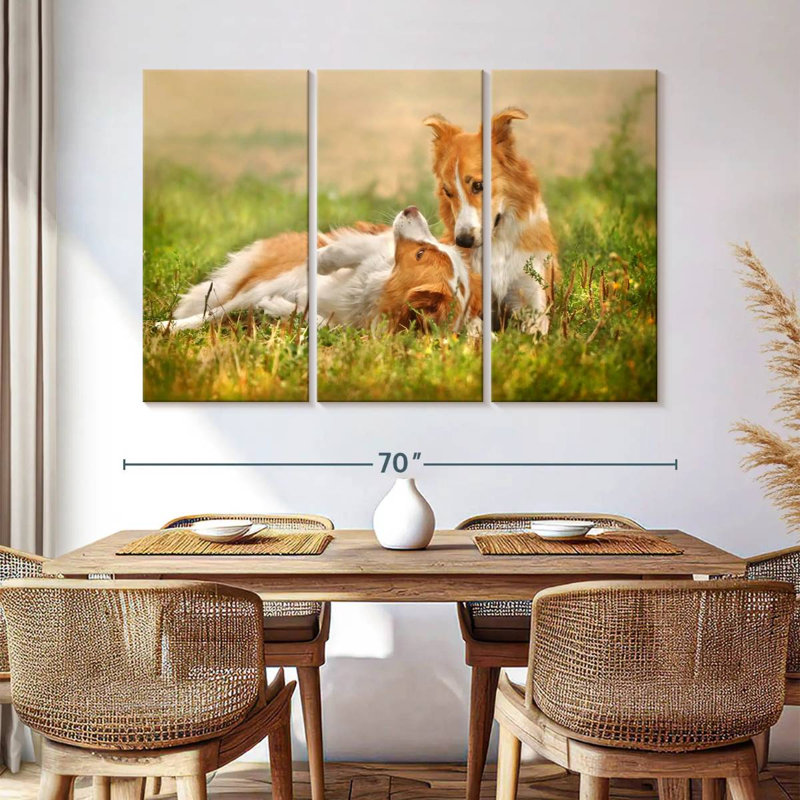 Brampt Border Collie Playtime, 42" H x 65" W